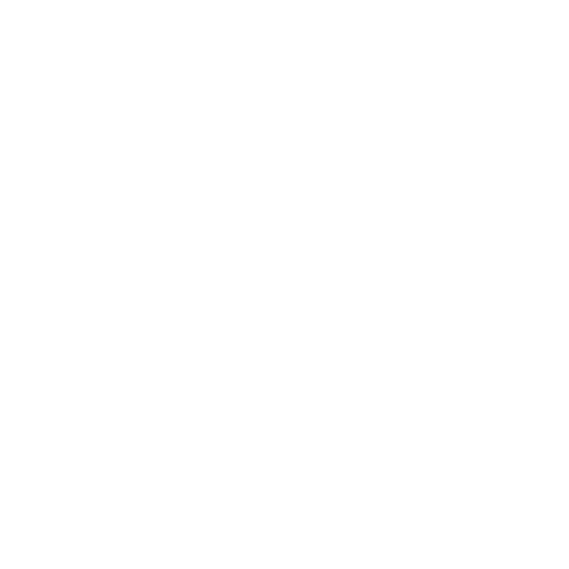 Vakmanschap en Ervaring